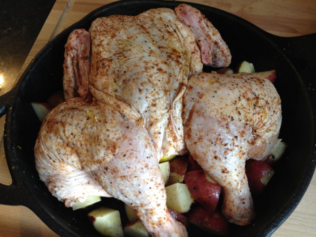 A small chicken fits perfectly